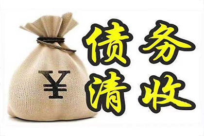 海南区追数公司